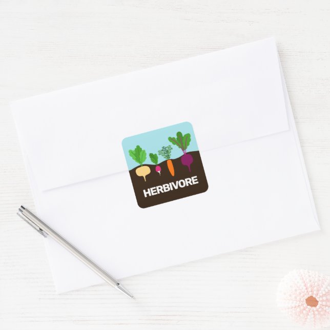 Vegan - herbivore colourful vegetables custom square sticker (Envelope)