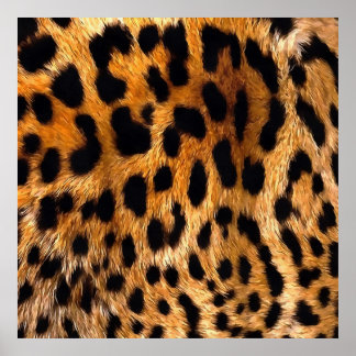 Vegan Leopard Skin Animal Fur Design Poster