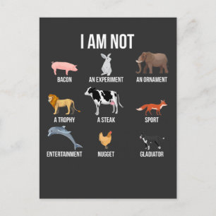 Vegan Life Statement Rescue Animal Rights Veggie Postcard
