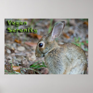 Vegan Serenity Bunny Poster