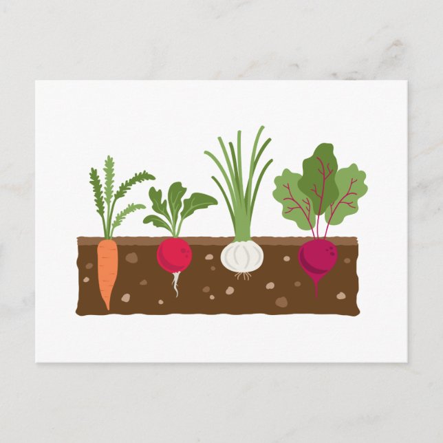 Vegetable Garden Postcard (Front)