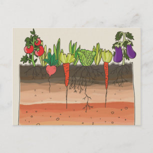 Vegetable garden soil earth layers nature art postcard