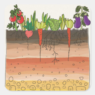 Vegetable garden soil earth layers nature art square sticker