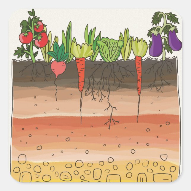 Vegetable garden soil earth layers nature art square sticker (Front)