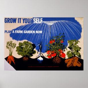 Vegetable Garden Vintage Poster
