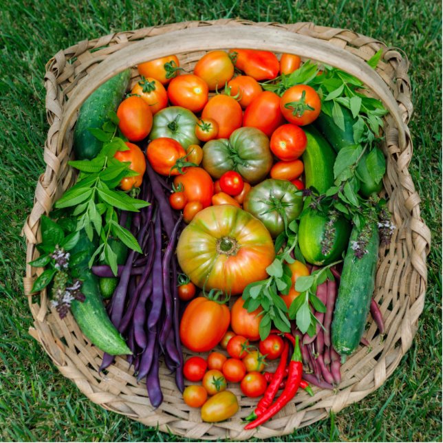 Vegetable Harvest Basket Standing Photo Sculpture (Front)