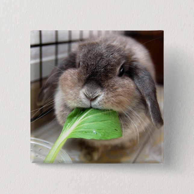 Vegetable munching bunny 15 cm square badge (Front)