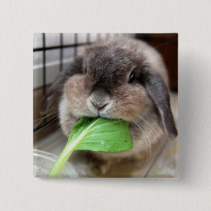 Vegetable munching (button) 15 cm square badge
