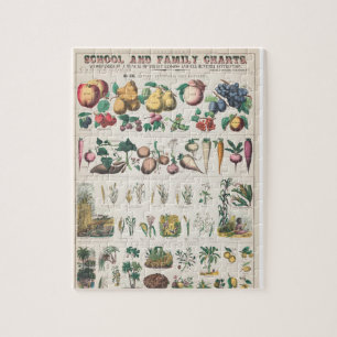 Vegetable school and family chart jigsaw puzzle