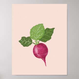 Vegetable wall art - Raddish illustration