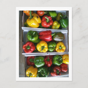 Vegetables at the Amish Market Postcard