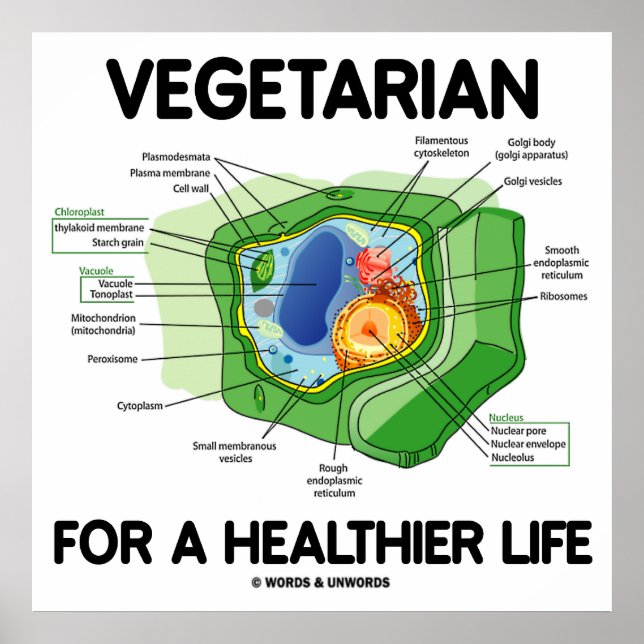 Vegetarian For A Healthier Life (Plant Cell) Poster (Front)