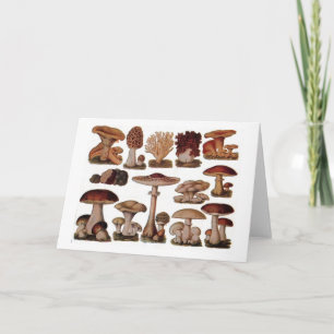Vegetarian hipster steampunk vintage mushroom card