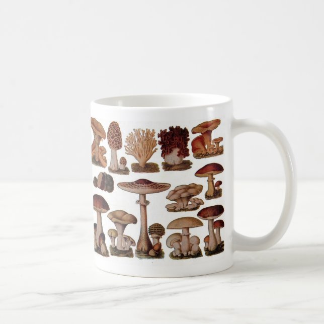 Vegetarian hipster steampunk vintage mushroom coffee mug (Right)