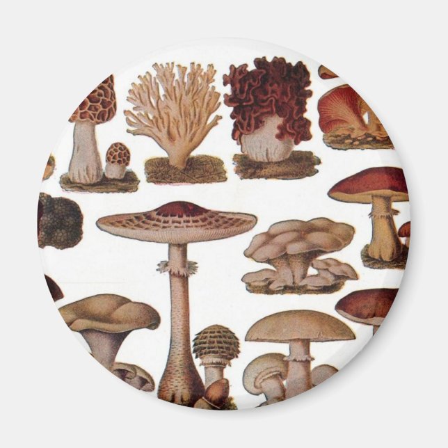 Vegetarian hipster steampunk vintage mushroom magnet (Front)