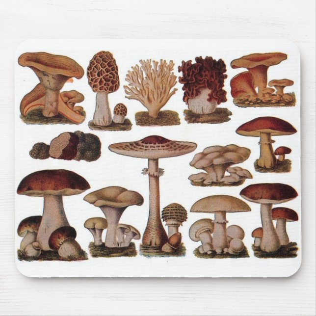 Vegetarian hipster steampunk vintage mushroom mouse mat (Front)