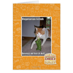 Vegetarian Kitteh