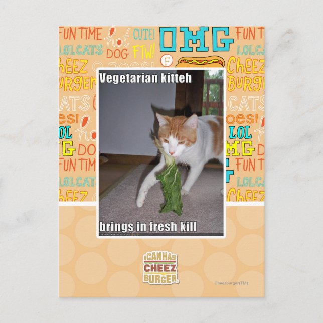 Vegetarian Kitteh Postcard (Front)