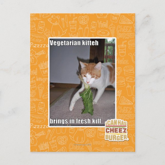 Vegetarian Kitteh Postcard (Front)