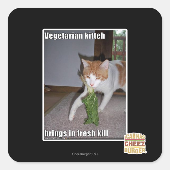Vegetarian Kitteh Square Sticker (Front)