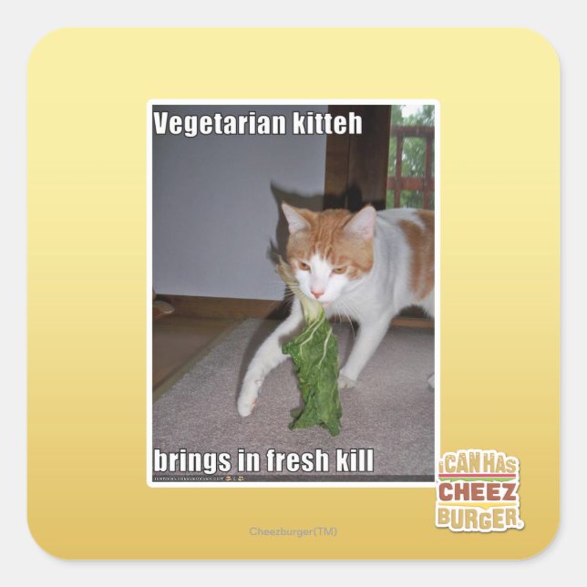 Vegetarian Kitteh Square Sticker (Front)