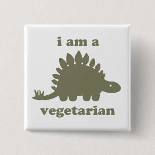 Vegetarian Stegosaurus Dinosaur - Green 15 Cm Square Badge