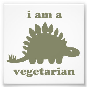 Vegetarian Stegosaurus Dinosaur - Green Photo Print