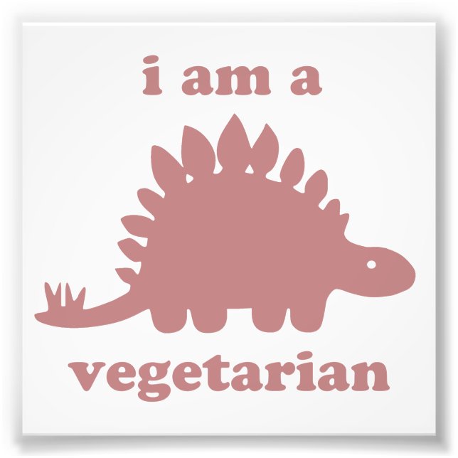 Vegetarian Stegosaurus Dinosaur - Pink Photo Print (Front)