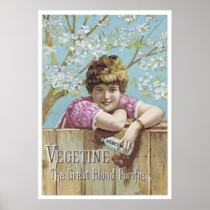 Vegetine Blood Purifier Poster