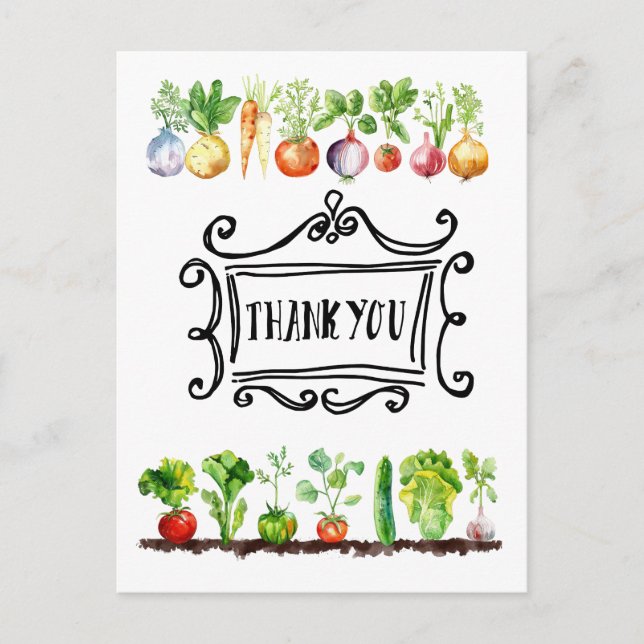 Veggie vegetable Vegetarian appreciation Postcard (Front)