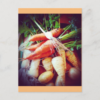 Veggies Postcard