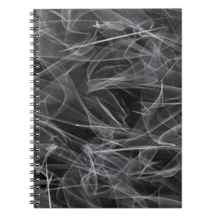 Veil like a X-ray image    Notebook