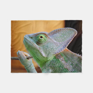 Veiled Chameleon Fleece Blanket