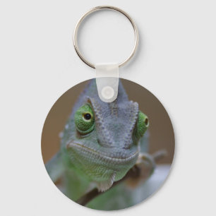 Veiled Chameleon Key Ring