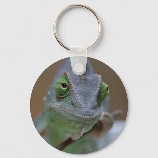 Veiled Chameleon Key Ring (Front)