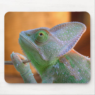 Veiled Chameleon Mouse Mat