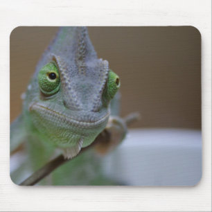 Veiled Chameleon Mouse Mat