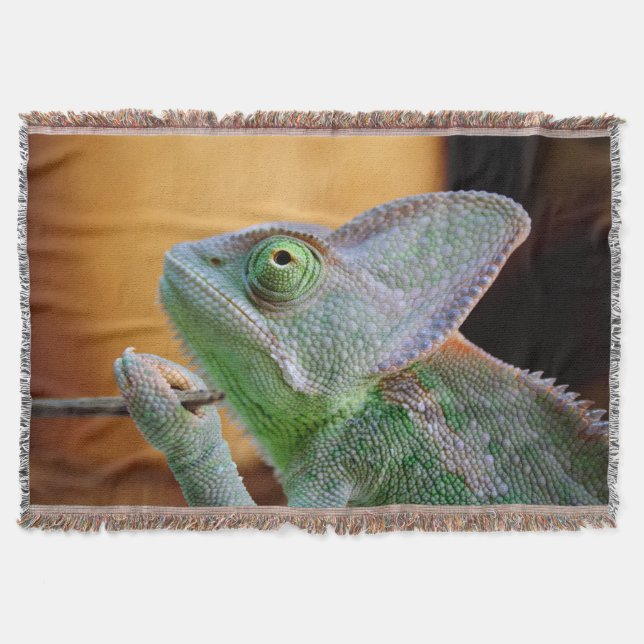 Veiled Chameleon Throw Blanket (Front)