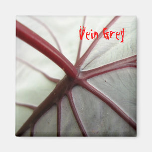 Vein Grey Magnet