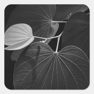 Veins of a Leaf Square Sticker