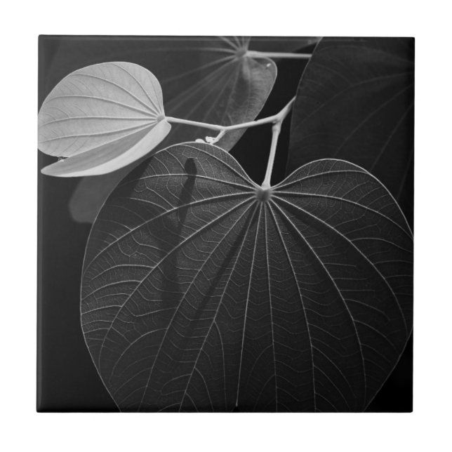 Veins of a Leaf Tile (Front)