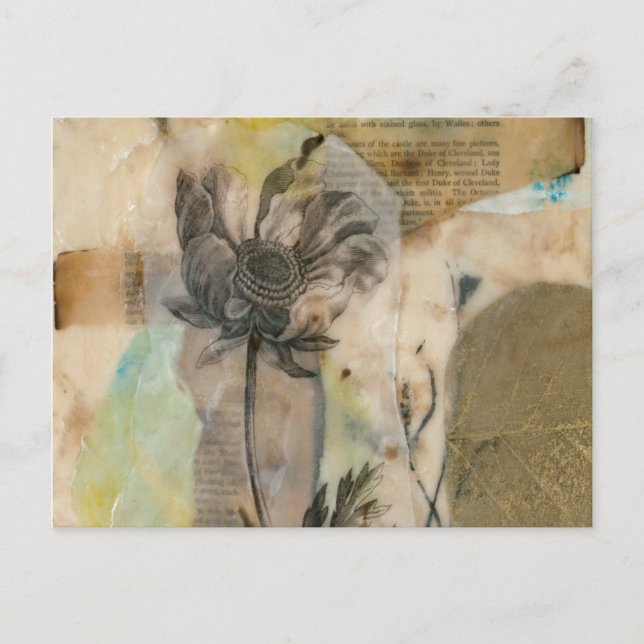 Vellum Floral II Postcard (Front)