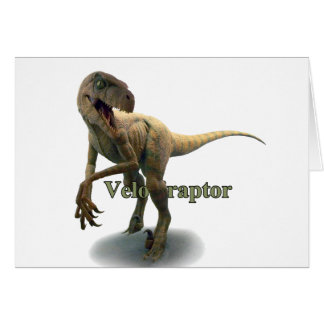 Velociraptor