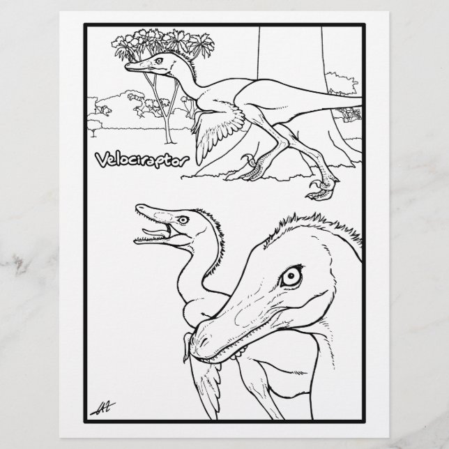 Velociraptor - Colouring page. (Front)