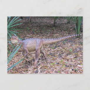 Velociraptor -  Dinosaur - Learning Card
