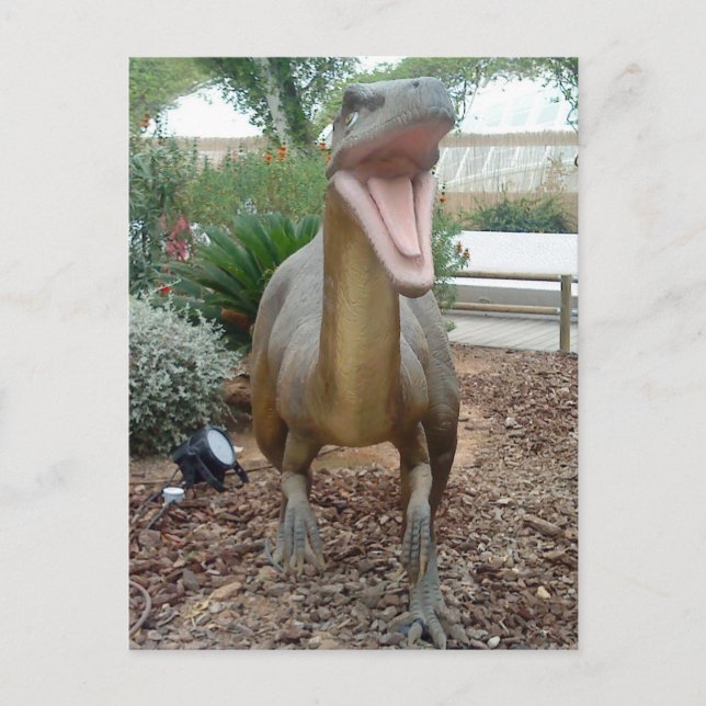 Velociraptor Dinosaur Postcard (Front)