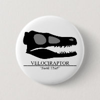 Velociraptor Skull