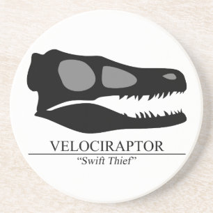 Velociraptor Skull Coaster