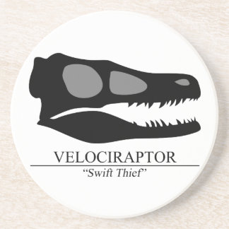 Velociraptor Skull Coaster