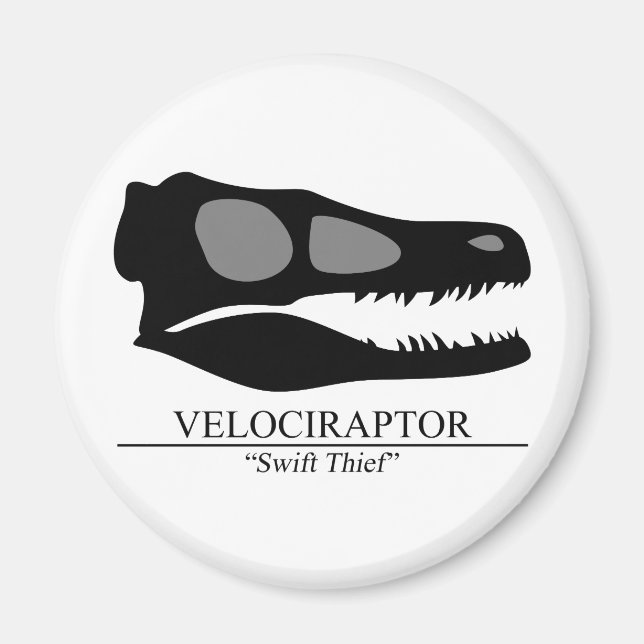 Velociraptor Skull Magnet (Front)